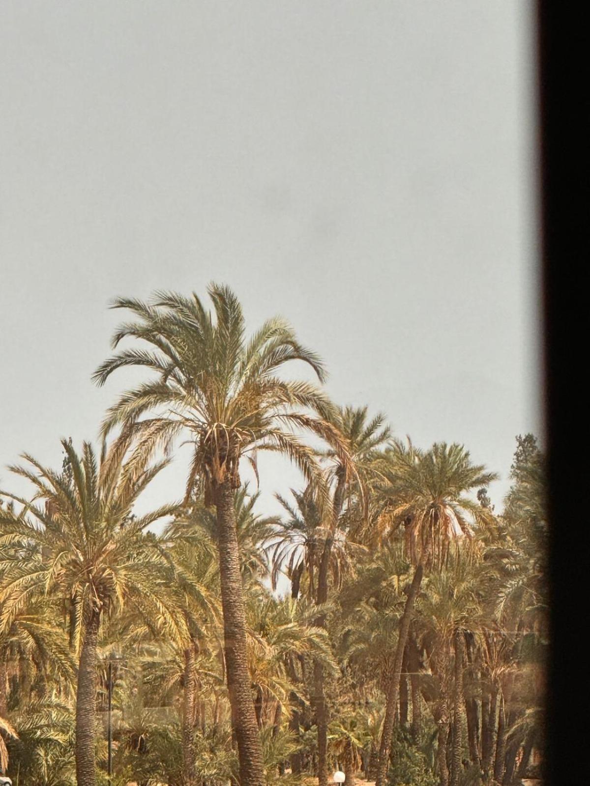 Appartement Malak - Residence Avec Piscine, Wifi, Gardien H24 Marrakesh Exteriör bild